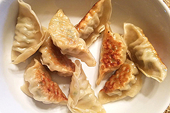 LIVING CARE LIFESTYLES